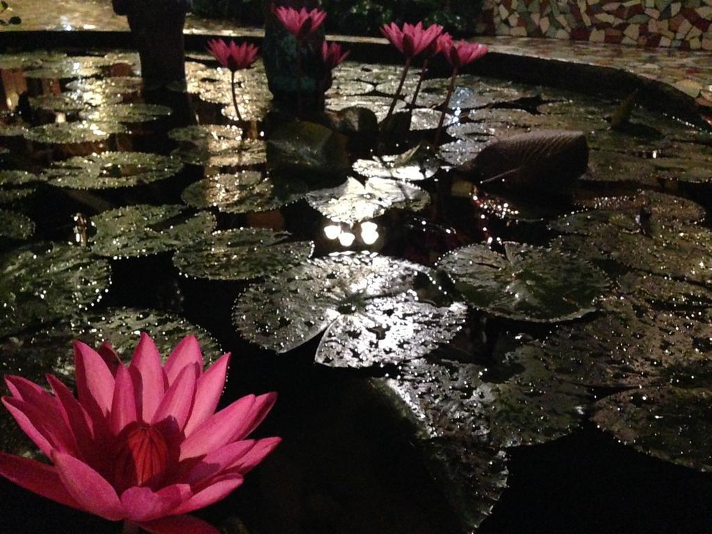 The Lotus Garden Suites Puerto Princesa Exterior foto